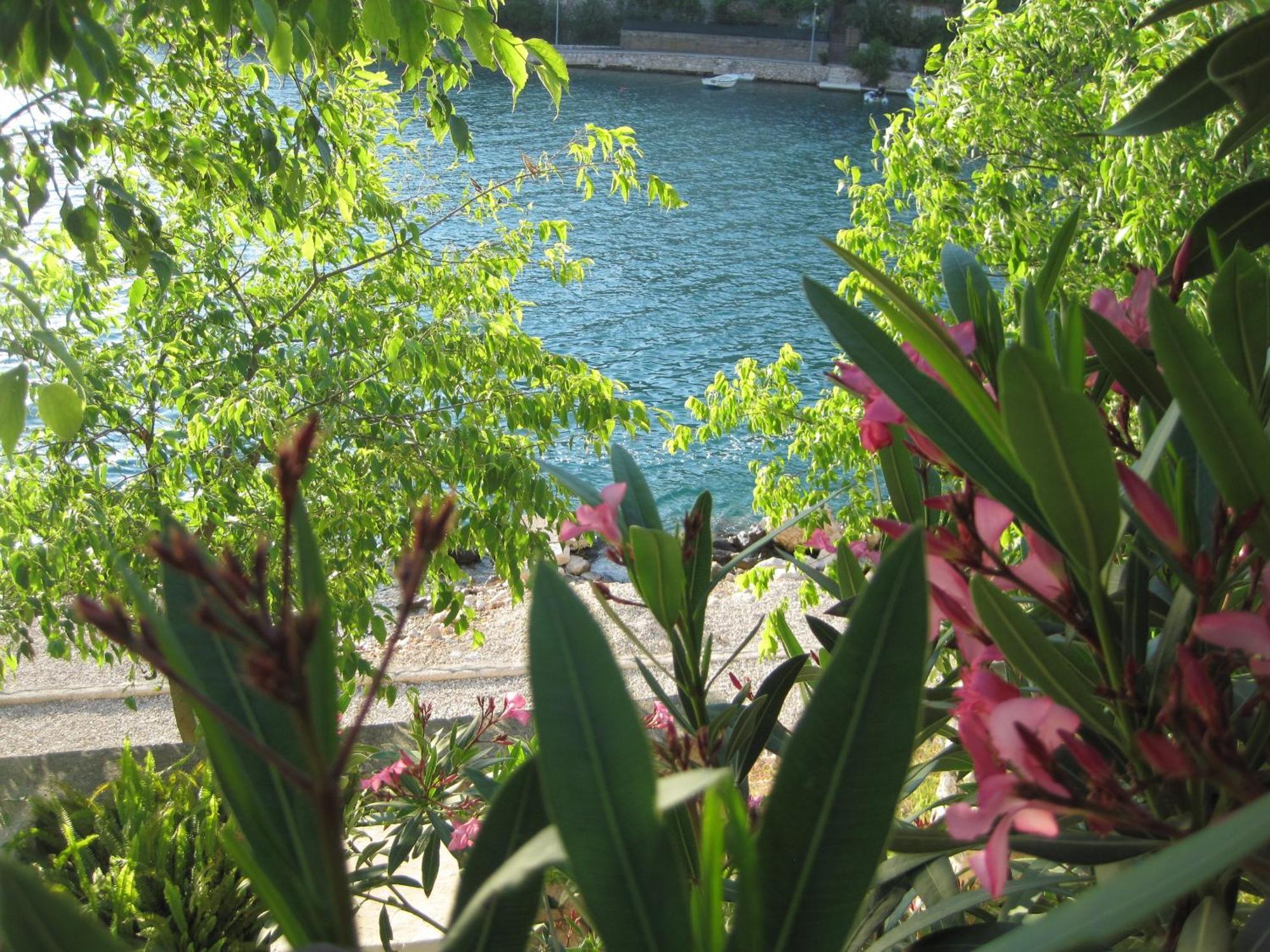Villa Obad Guest House Neum Buitenkant foto